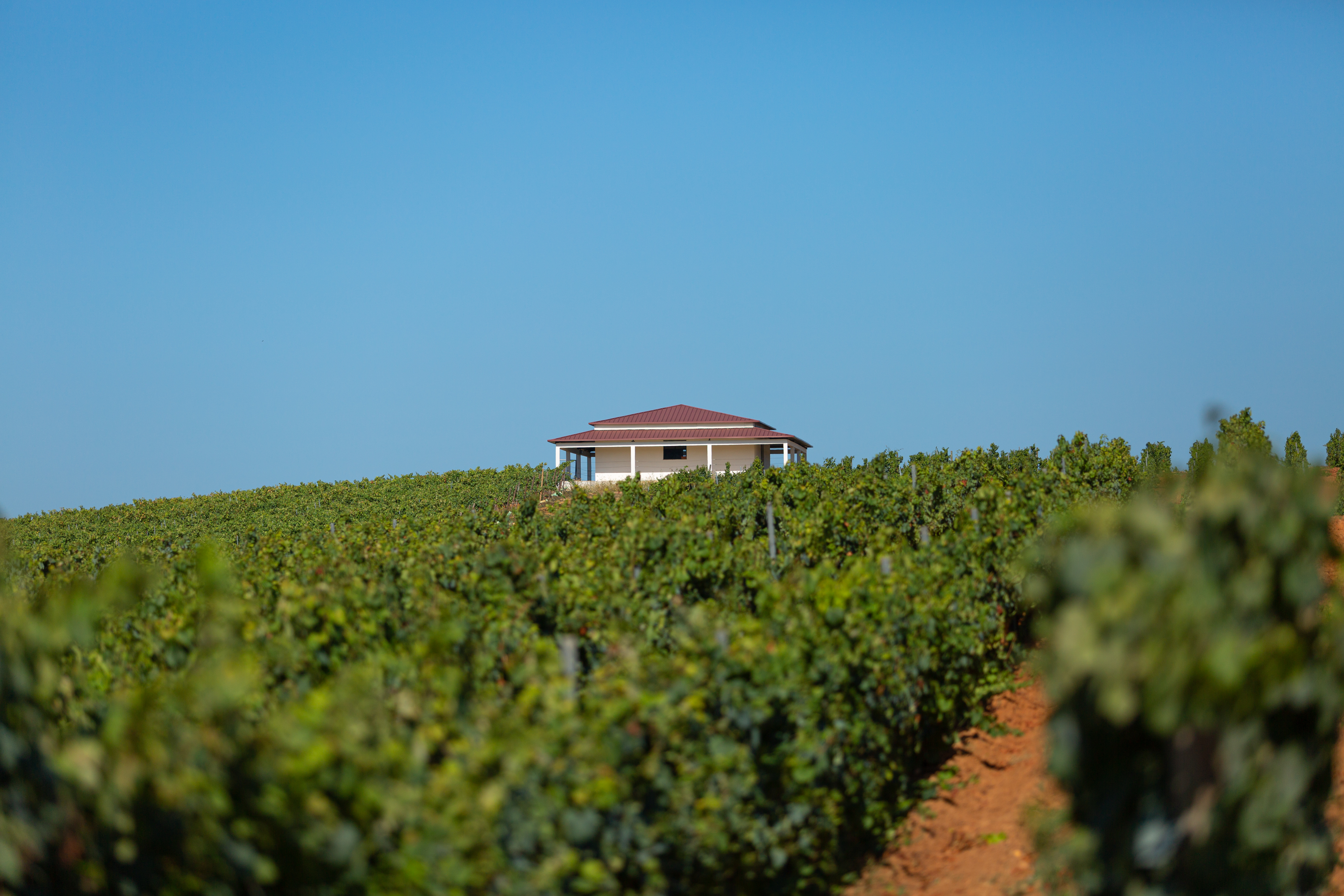 QUINTA DO VALDOEIRO 2