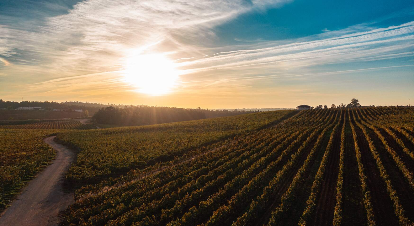 QUINTA DO VALDOEIRO 0