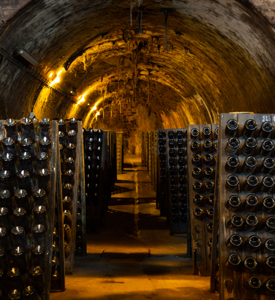 UM LEGADO CENTENÁRIO